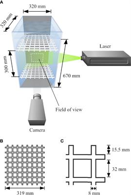 Turbulence affects larval vertical swimming in the cold-water coral Lophelia pertusa